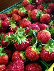 1005403_487247591345431_745012433_n