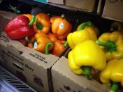 581649_480966911973499_201866496_n